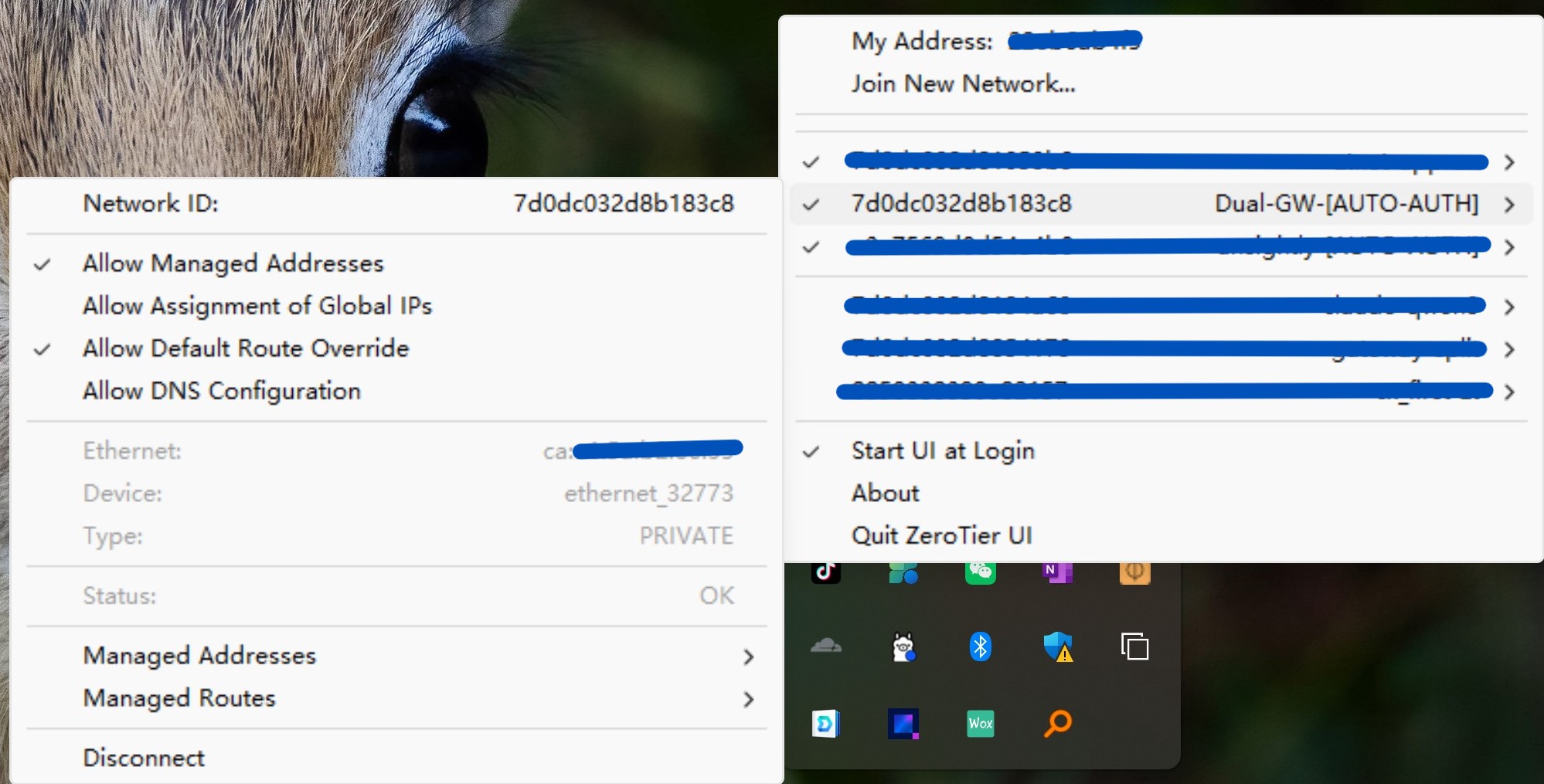 ZeroTier住宅代理网络配置步骤 - TikTok电商代理IP免费试用